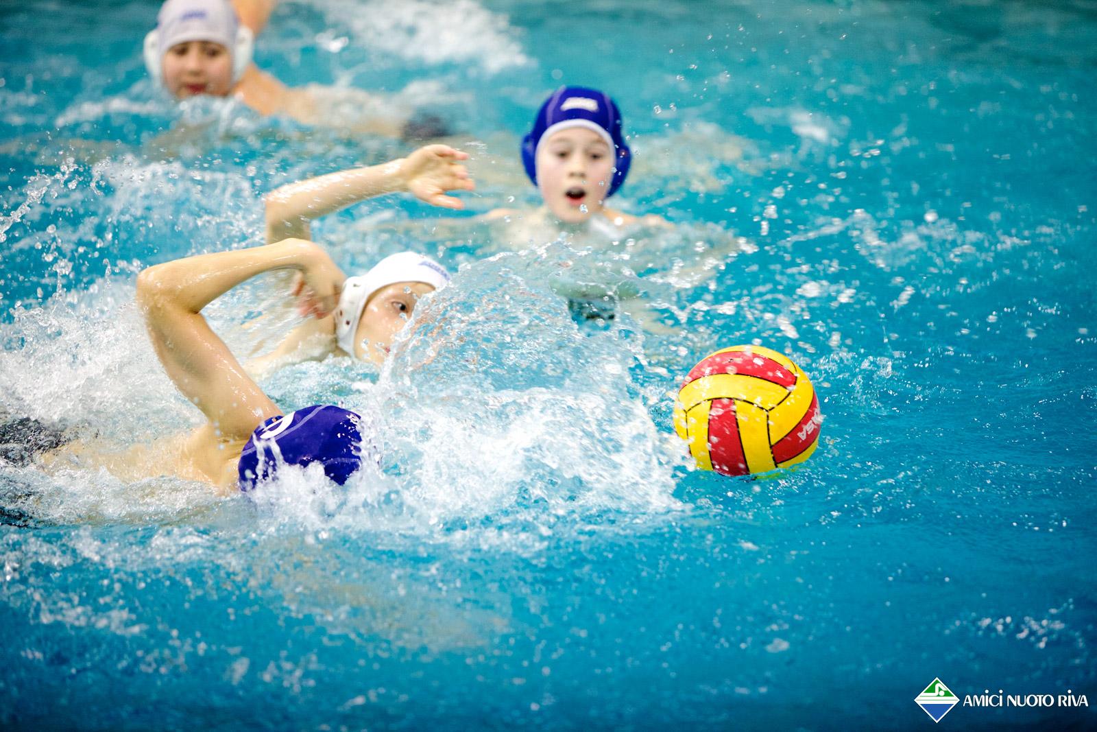 pallanuoto